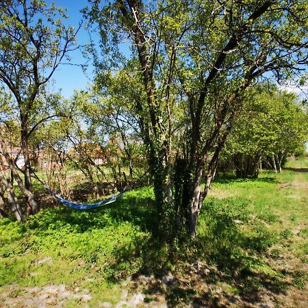 Huus An'T Doerpsdiek Krummhorn Bagian luar foto