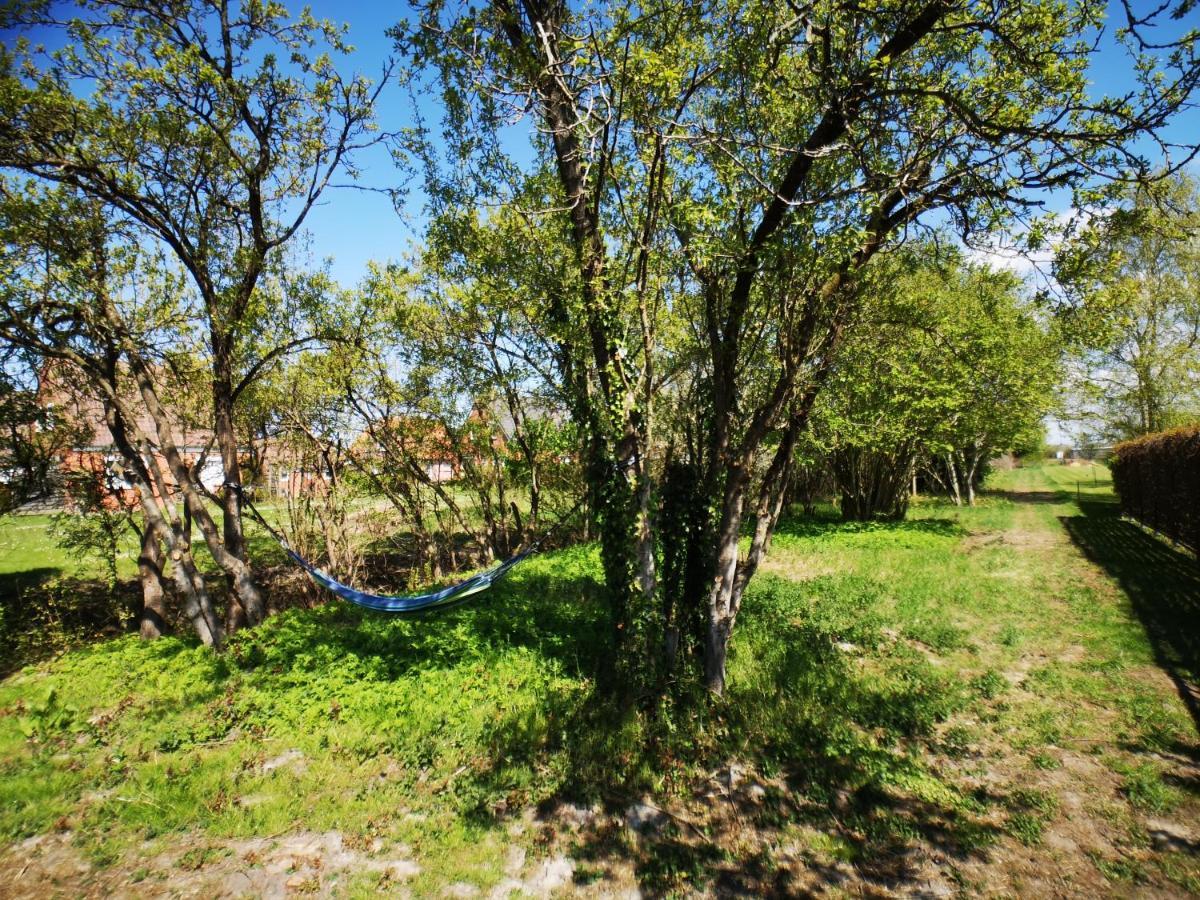 Huus An'T Doerpsdiek Krummhorn Bagian luar foto