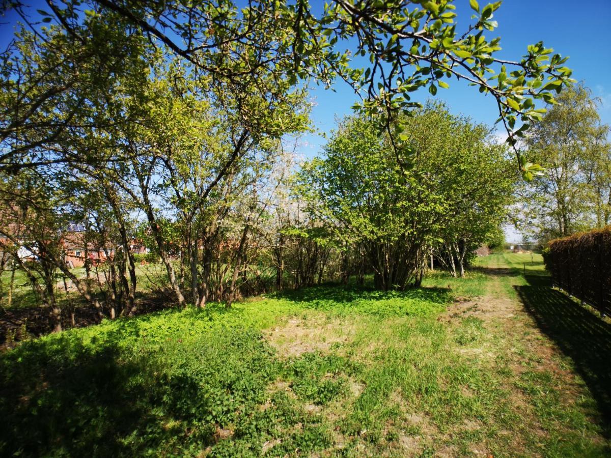Huus An'T Doerpsdiek Krummhorn Bagian luar foto